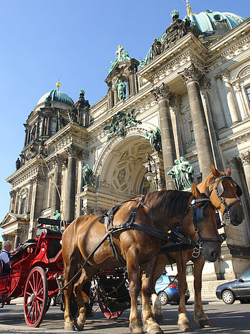 Foto Pferdekutsche vor dem Berliner Dom