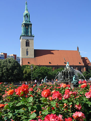 Marienkirche Fotos