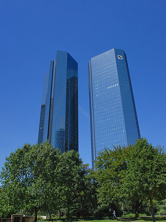 Deutsche Bank mit Wiese