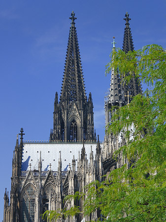 Türme des Kölner Doms