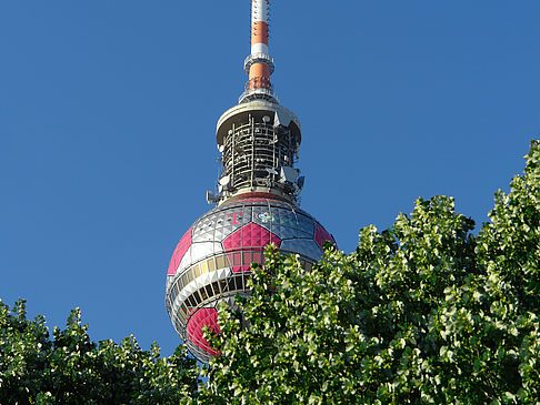 Fernsehturm und Bäume