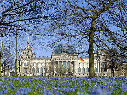 Fotos Blumenwiese am Reichstag