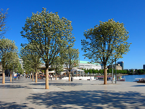 Foto Alster Pavillon - Hamburg