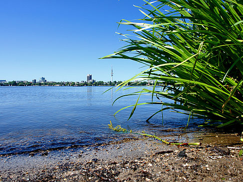 Badestrand an der Außenalster Foto 