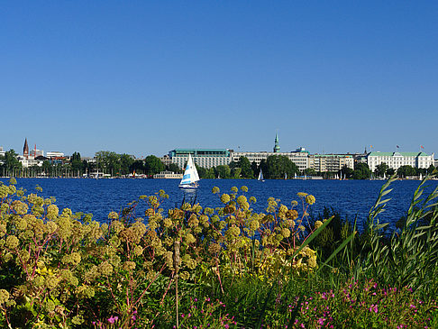 Fotos Blick nach Osten von der Außenalster | Hamburg