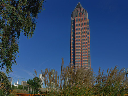 Messeturm mit Wiese Fotos