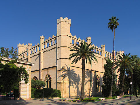 Fotos La Llotja | Palma de Maljorka