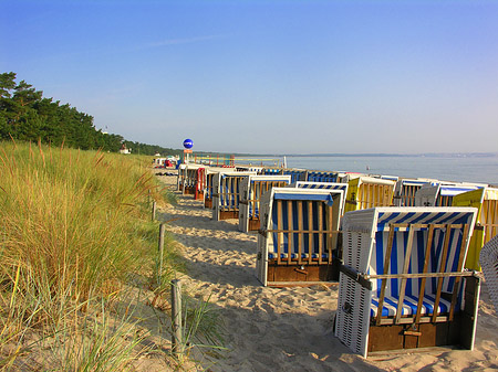 Foto Dünen - Ostseebad Binz