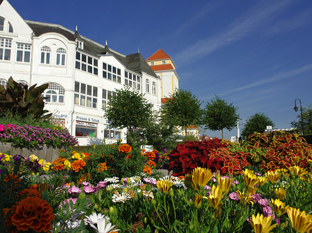 Seebrücke Binz