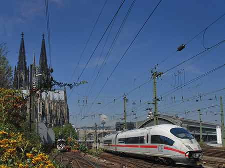 Kölner Dom mit ICE Foto 