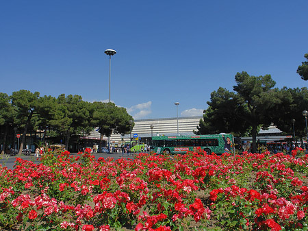 Fotos Blumen am Bahnhof