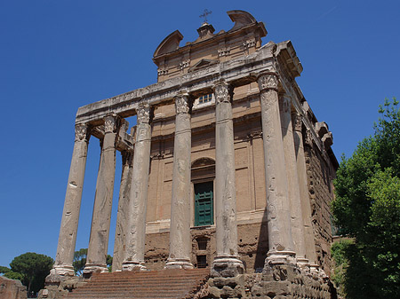 Tempel des Antoninus Pius und der Faustina Fotos