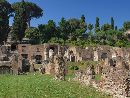 Fotos Tempel der Vesta