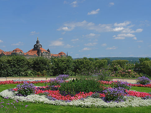 Foto Brühlscher Garten - Dresden