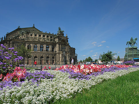 Foto Semperoper mit Blumen