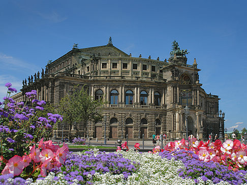 Foto Semperoper mit Blumen