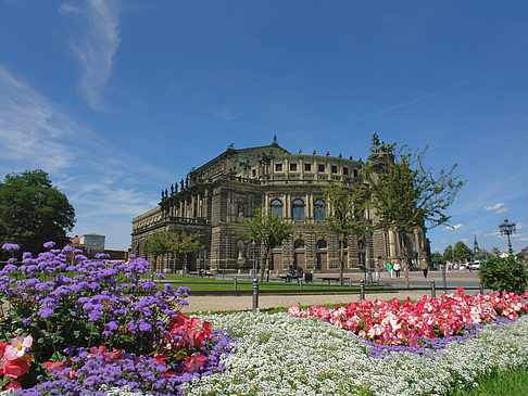 Fotos Semperoper mit Blumen