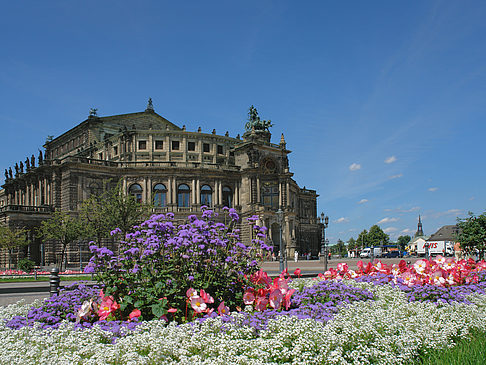 Foto Semperoper mit Blumen