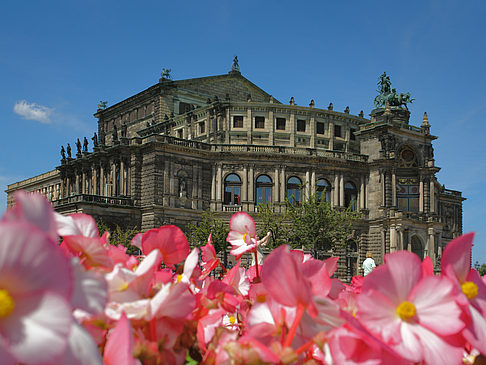 Foto Semperoper mit Blumen